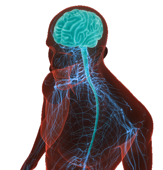 Neurochirurgie
